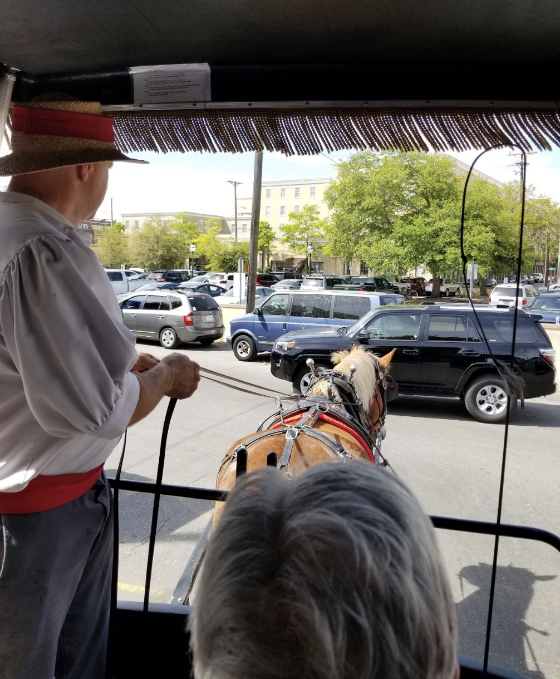 Charleston Carriage Ride