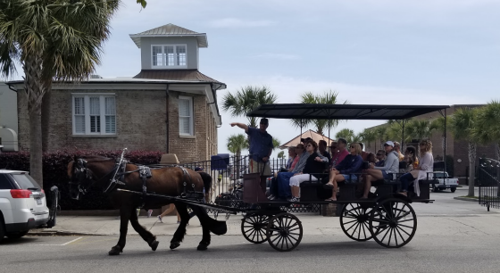 Charleston horse drawn carriage