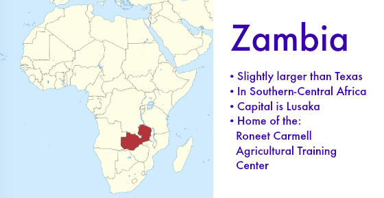 Zambia Facts