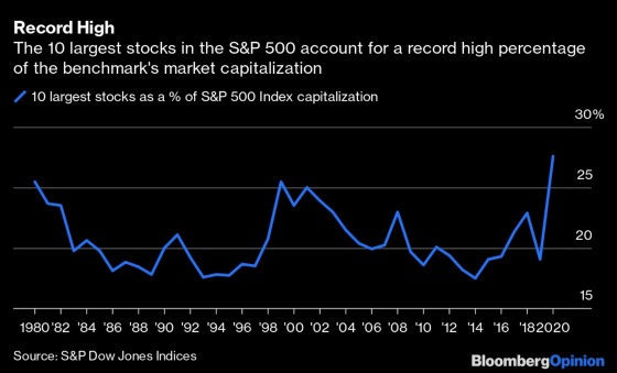Record High 10 largest S&P 500 stocks 1980 - 2020 Change With Success