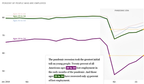Percent of people who are employed Jan 2019 - 2020 stimulus
