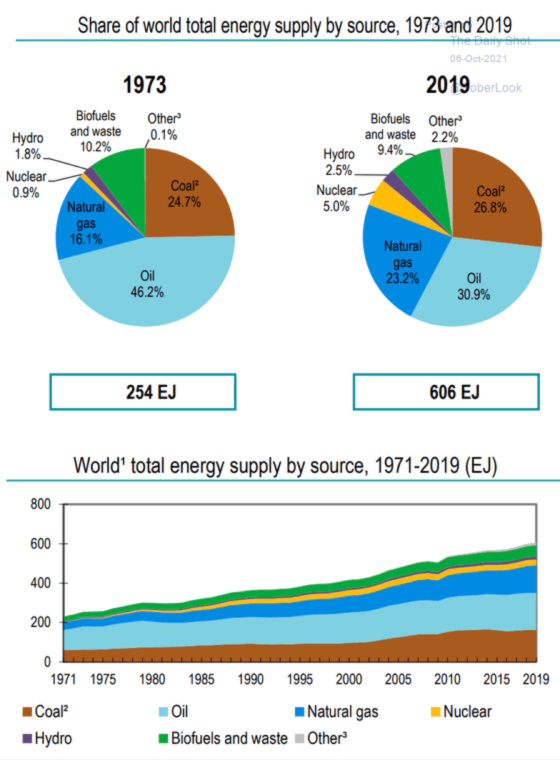 Share of world total energy supply by source, 1973 and 2019