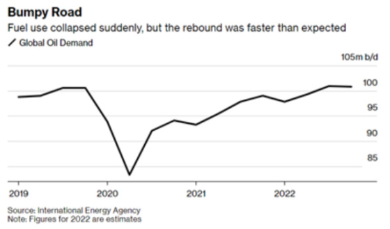 Bumpy Road - Fuel use collapsed suddenly, but the rebound was faster than expected 2019 - 2022