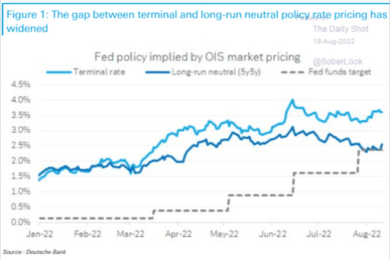 Figure 1_ The gap between terminal and long-run neutral policy rate pricing has widened January 2022 - August 2022
