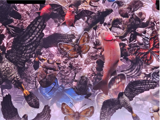 The Sphere Las Vegas vivid images fish birds butter flies bats