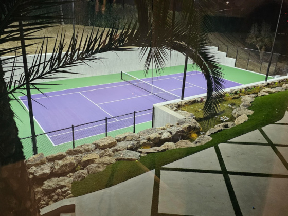 Gary Carmell tennis paradise January 31, 2024