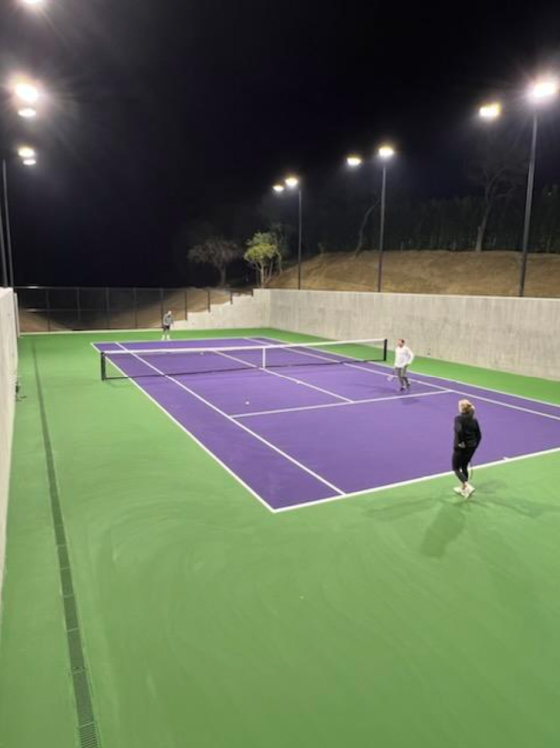 The Eleven Tennis Court from the Baseline Gary Heather