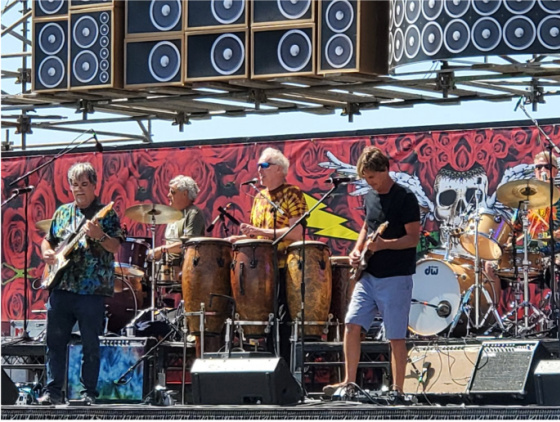 Bill Walton Skull and Roses Festival 2022