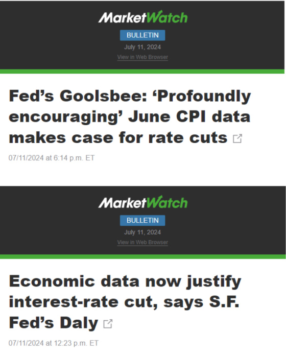 Fed's Goolsbee_ Profoundly encouraging'June CPI data makes case for rate cuts July 11, 2024