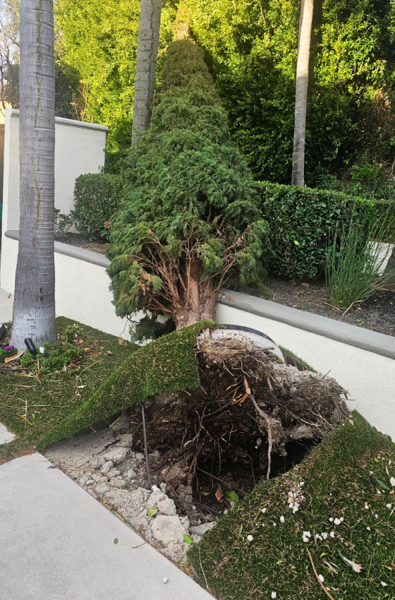 Damage from wind January 9, 2025 LA Fires