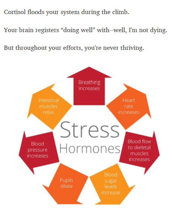 Cortisol Floods - Stress Hormones